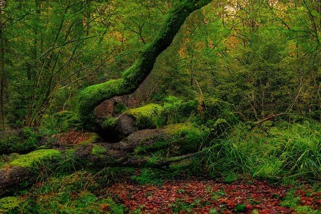 Magický​ svět pohádek ve⁣ vašich uších